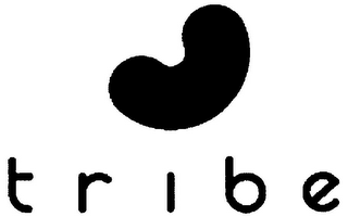 TRIBE logo