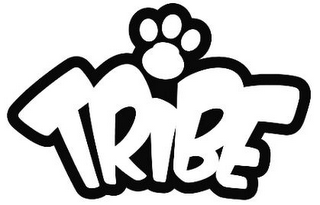 TRIBE logo