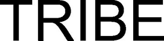TRIBE logo