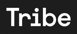 TRIBE logo
