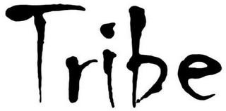 TRIBE logo