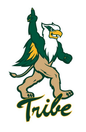 TRIBE logo
