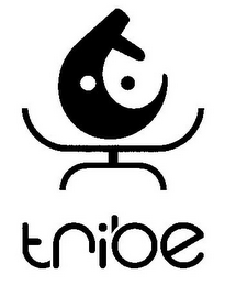 TRIBE logo