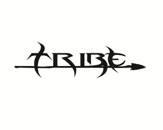 TRIBE logo