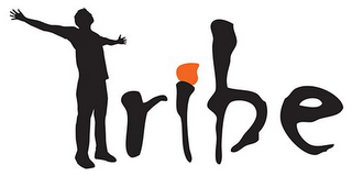 TRIBE logo