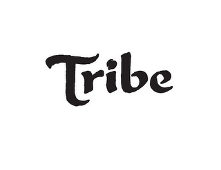TRIBE logo