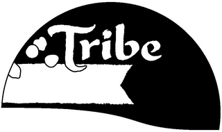 TRIBE logo