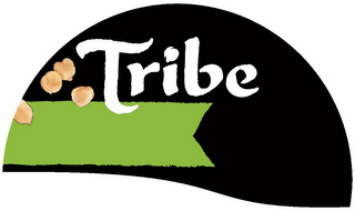 TRIBE logo