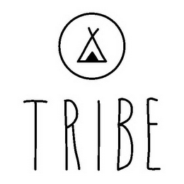 TRIBE logo