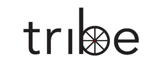 TRIBE logo