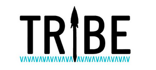 TRIBE logo