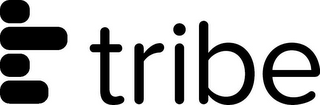 TRIBE logo