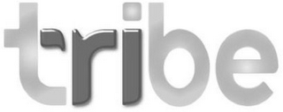 TRIBE logo