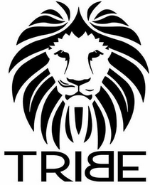 TRIBE logo