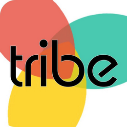 TRIBE logo