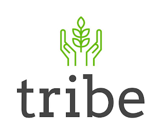 TRIBE logo
