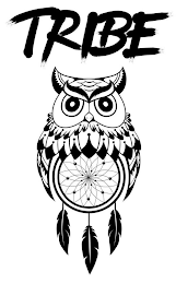 TRIBE logo