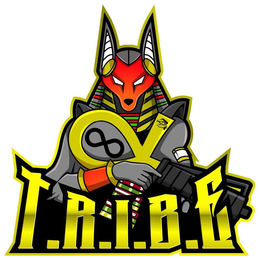 T.R.I.B.E logo