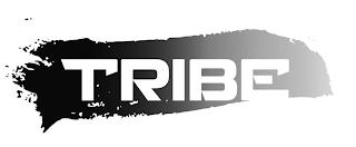 TRIBE logo
