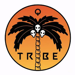 TRIBE logo