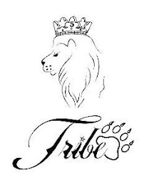 TRIBE logo