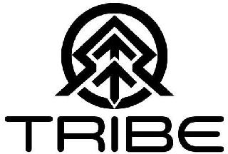 TRIBE logo