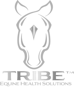 TRIBE EQUINE HEALTH SOLUTIONS logo
