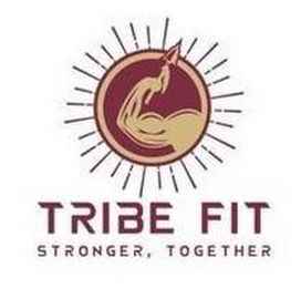 TRIBE FIT STRONGER, TOGETHER logo