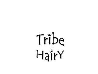 TRIBE HAIRY logo