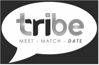 TRIBE MEET - MATCH - DATE logo