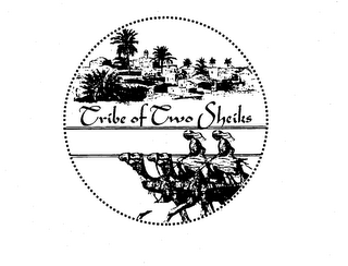 TRIBE OF TWO SHEIKS logo