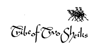 TRIBE OF TWO SHEIKS logo