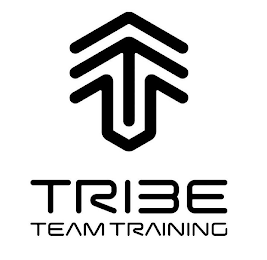 TRIBE TEAM TRAINING logo