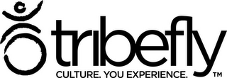 TRIBEFLY CULTURE. YOU EXPERIENCE. logo