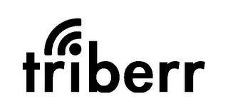 TRIBERR logo