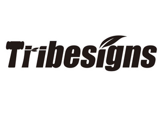 TRIBESIGNS logo