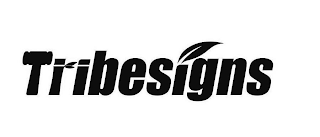 TRIBESIGNS logo