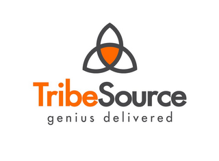 TRIBESOURCE GENIUS DELIVERED logo