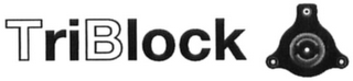 TRIBLOCK logo