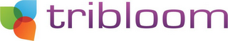 TRIBLOOM logo