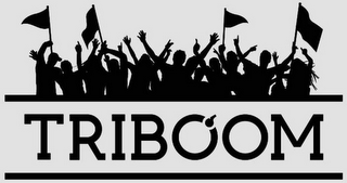 TRIBOOM logo