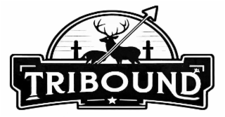 TRIBOUND logo