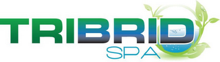 TRIBRID SPA logo