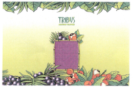 TRIBU'S AMAZON FLAVORS logo