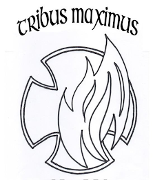 TRIBUS MAXIMUS logo