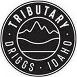 TRIBUTARY DRIGGS IDAHO logo