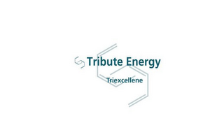 TRIBUTE ENERGY TRIEXCELLENE logo