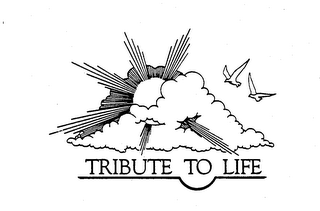 TRIBUTE TO LIFE logo
