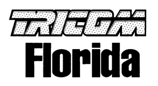 TRICOM FLORIDA logo