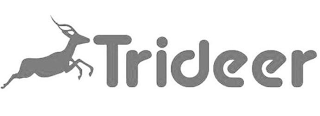 TRIDEER logo